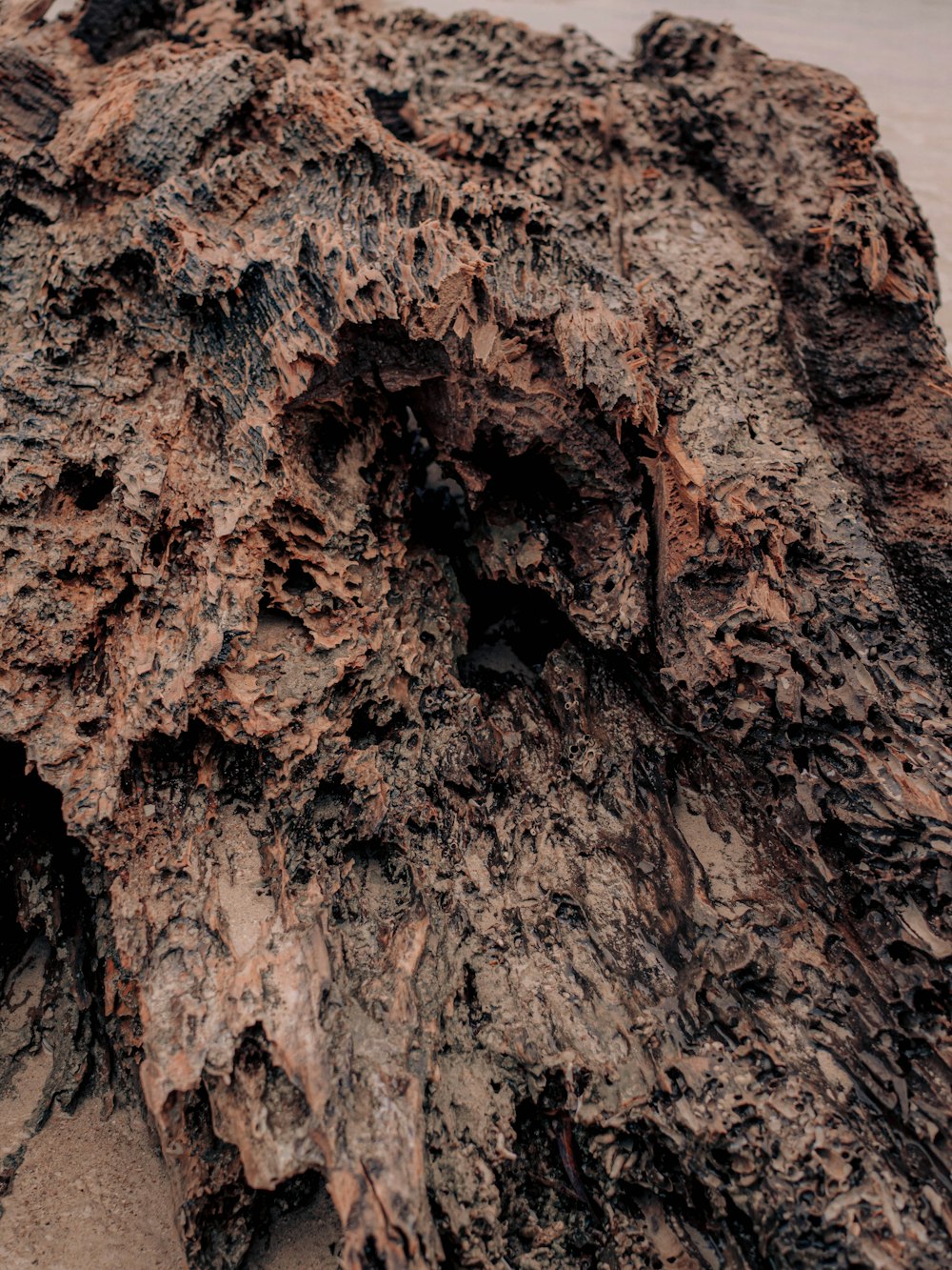 brown and black rock formation