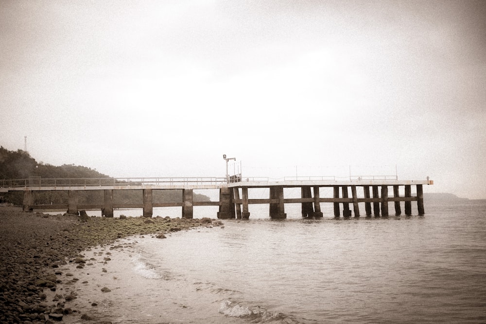 brown wooden dock on sea under white sky during daytime