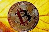 A Bitcoin coin with intricate circuit patterns displayed prominently over the surface is placed on a vibrant yellow leaf. The patterns and engravings on the coin are clearly visible, highlighting the decentralized nature of cryptocurrency. The background features the detailed texture of the leaf, creating a striking contrast with the metallic appearance of the coin.