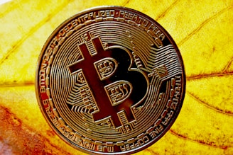 A Bitcoin coin with intricate circuit patterns displayed prominently over the surface is placed on a vibrant yellow leaf. The patterns and engravings on the coin are clearly visible, highlighting the decentralized nature of cryptocurrency. The background features the detailed texture of the leaf, creating a striking contrast with the metallic appearance of the coin.