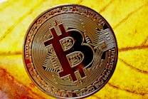 A Bitcoin coin with intricate circuit patterns displayed prominently over the surface is placed on a vibrant yellow leaf. The patterns and engravings on the coin are clearly visible, highlighting the decentralized nature of cryptocurrency. The background features the detailed texture of the leaf, creating a striking contrast with the metallic appearance of the coin.