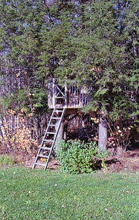 Best Products to Modify Your Tree Stand for Better Stability & Comfort