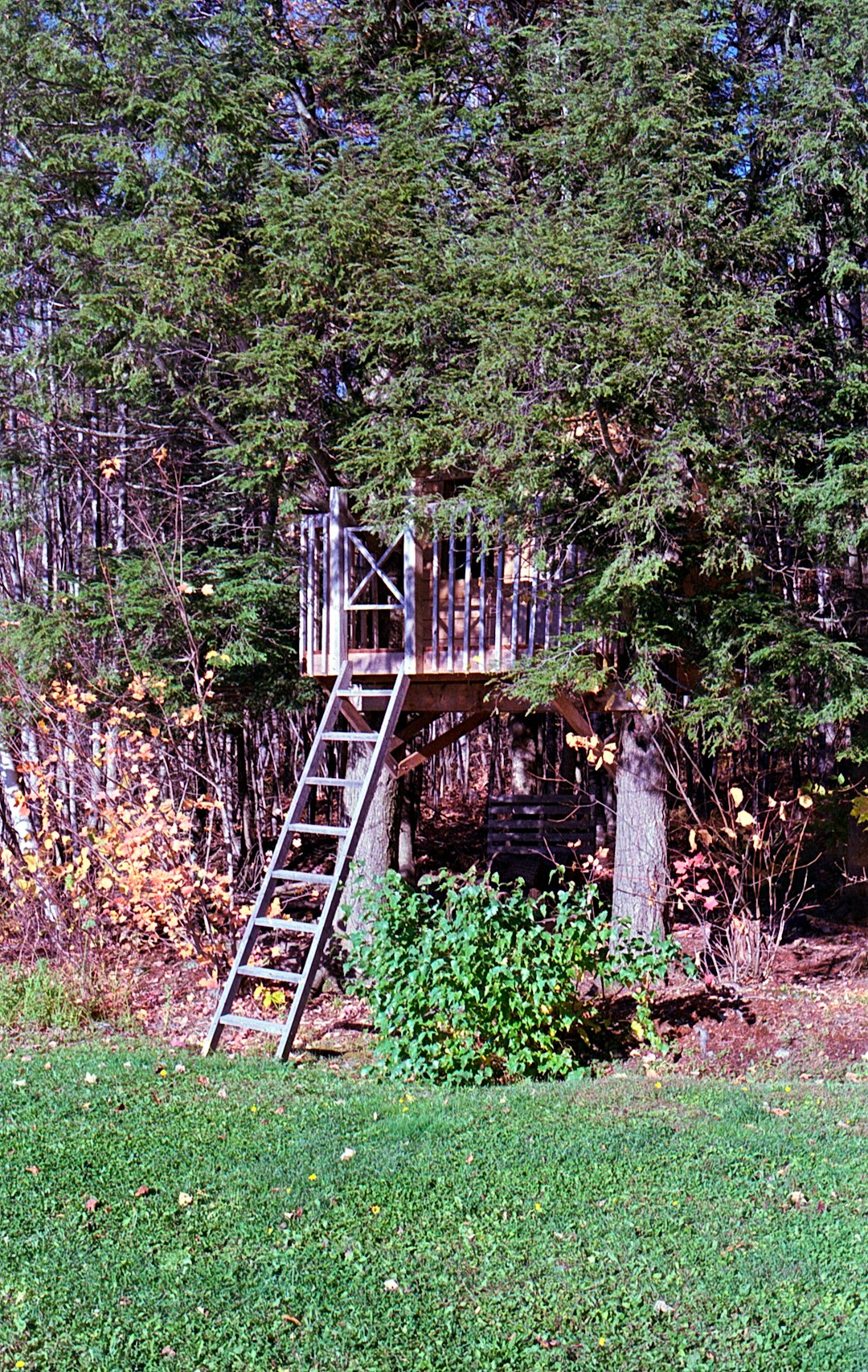 brown wooden bridge in the woods