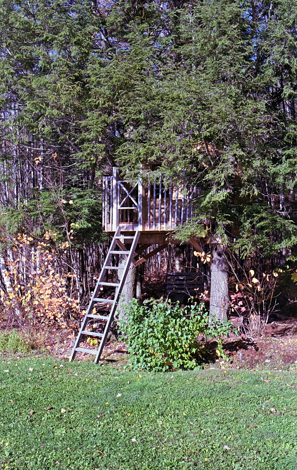 brown wooden bridge in the woods