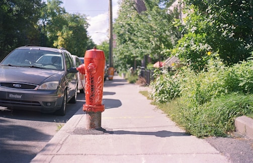A red fire hydrant is positioned on a sidewalk next to a street containing parked cars. The surrounding area is lush with green foliage, and the sunlight casts shadows on the pavement. Graffiti is visible on the hydrant, adding an urban feel to the scene.