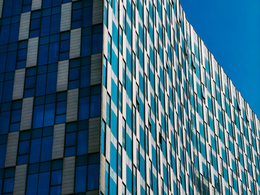 blue and white concrete building