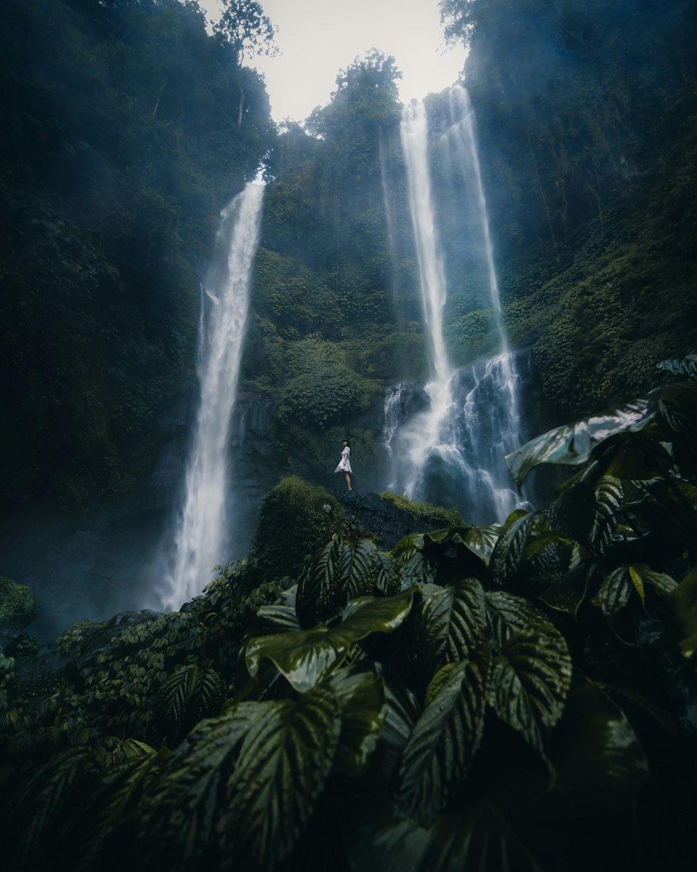 water falls in the middle of green plants