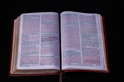 Photo of an open page from the book with highlighted tips and notes.