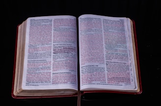 An open book displaying highlighted passages about philosophy and politics.