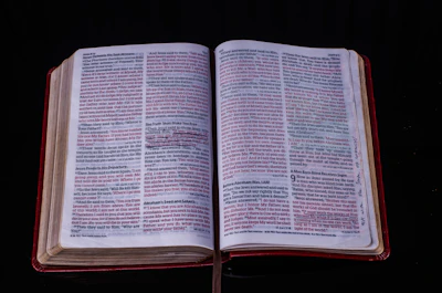 An open book with highlighted passages about axioms and postulates.