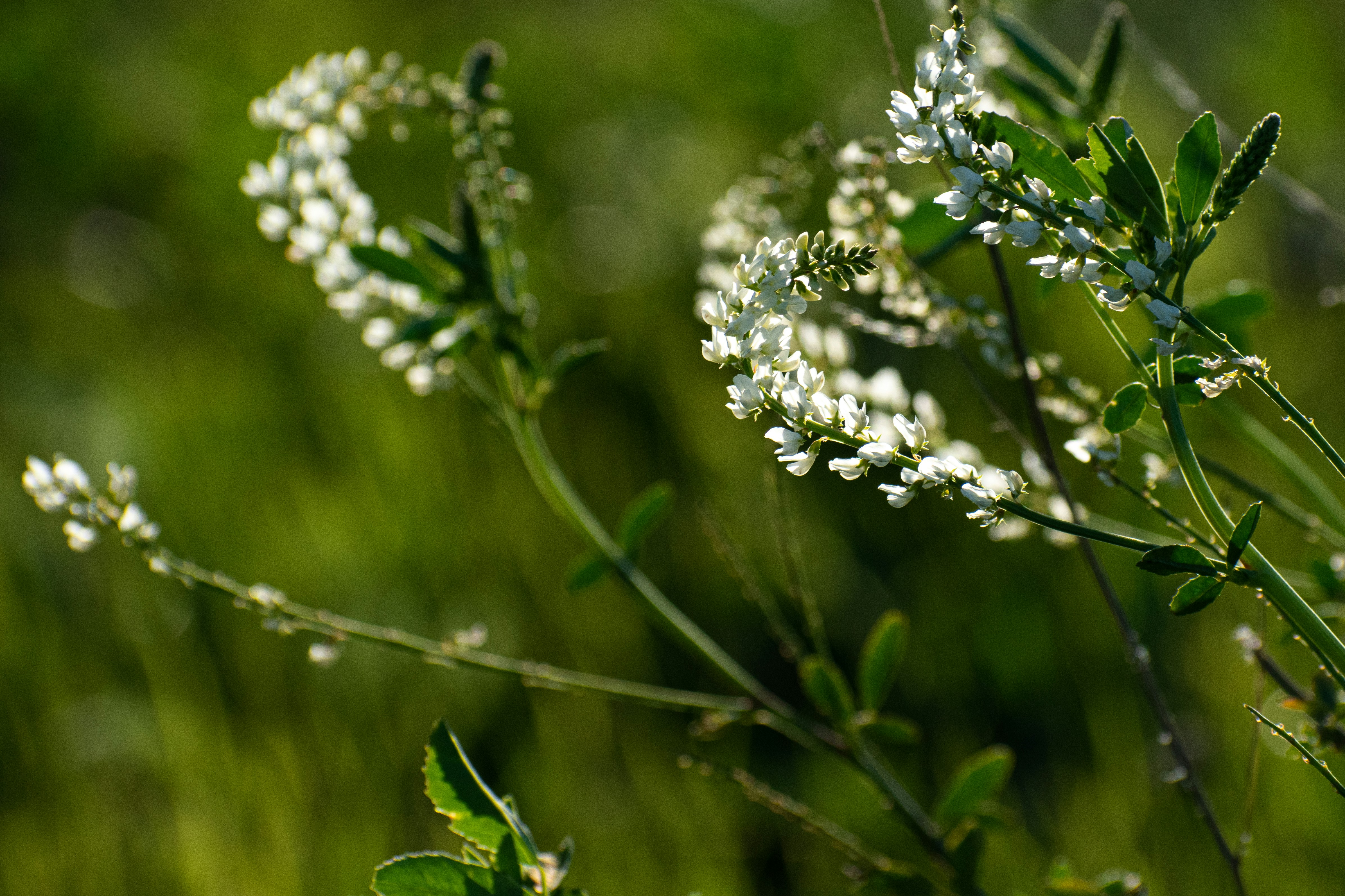 Photo by elisastonephotography