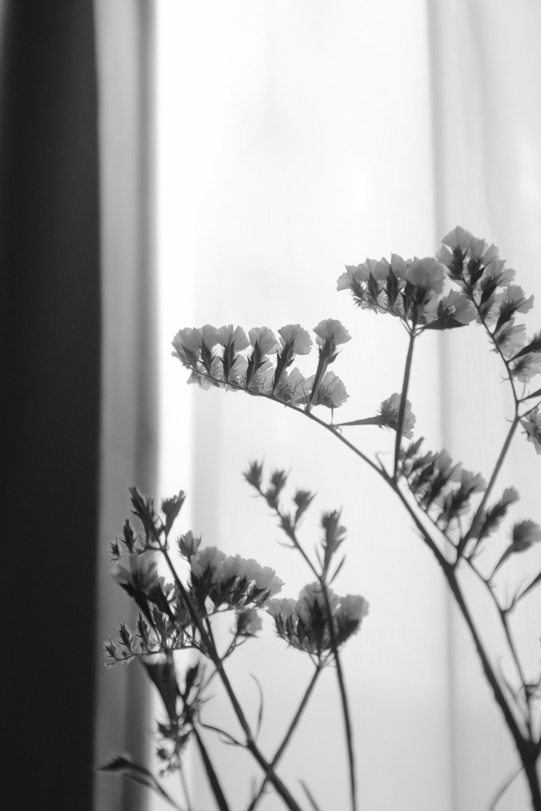 green leaves in white room