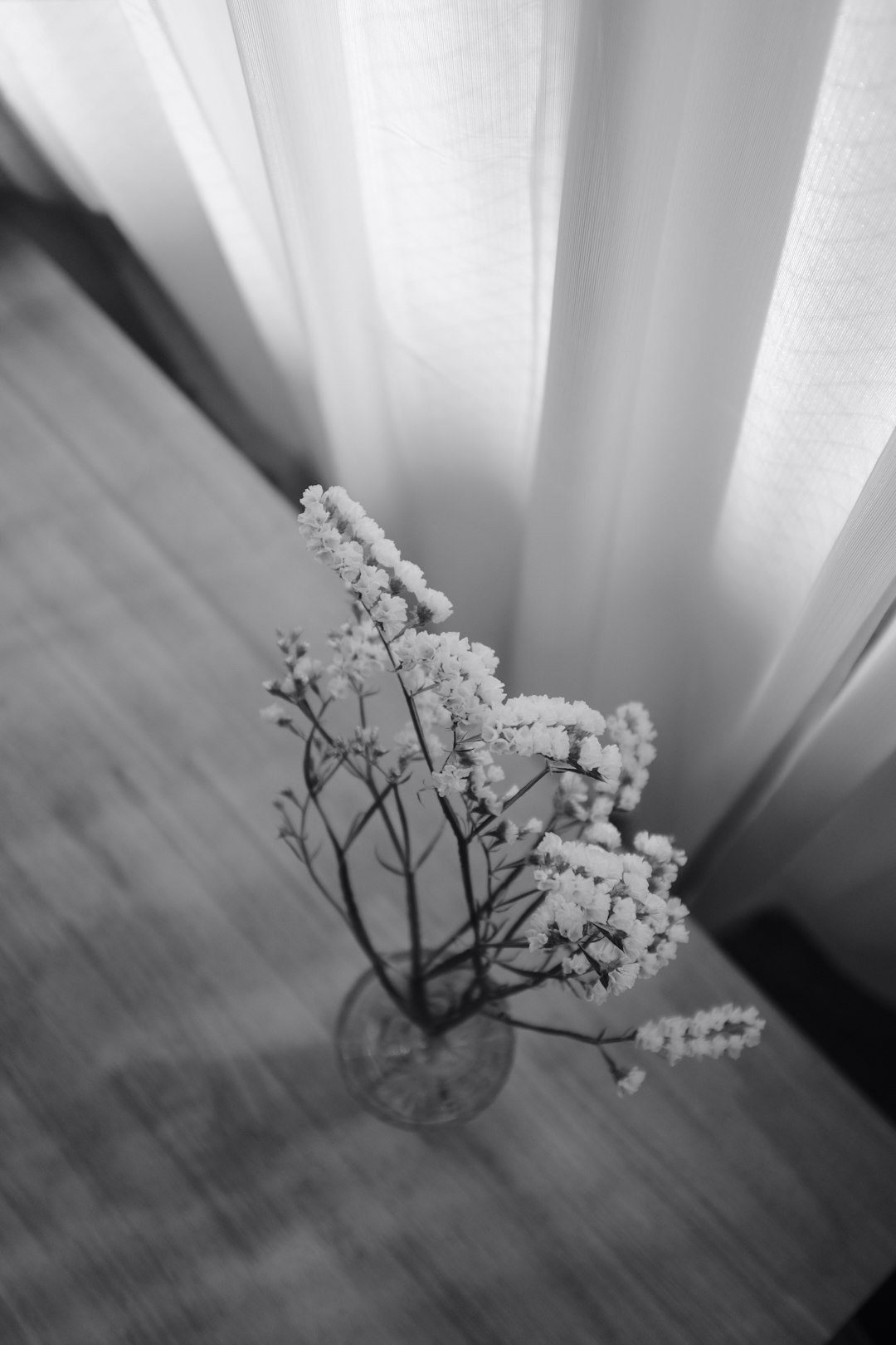 grayscale photo of white flowers