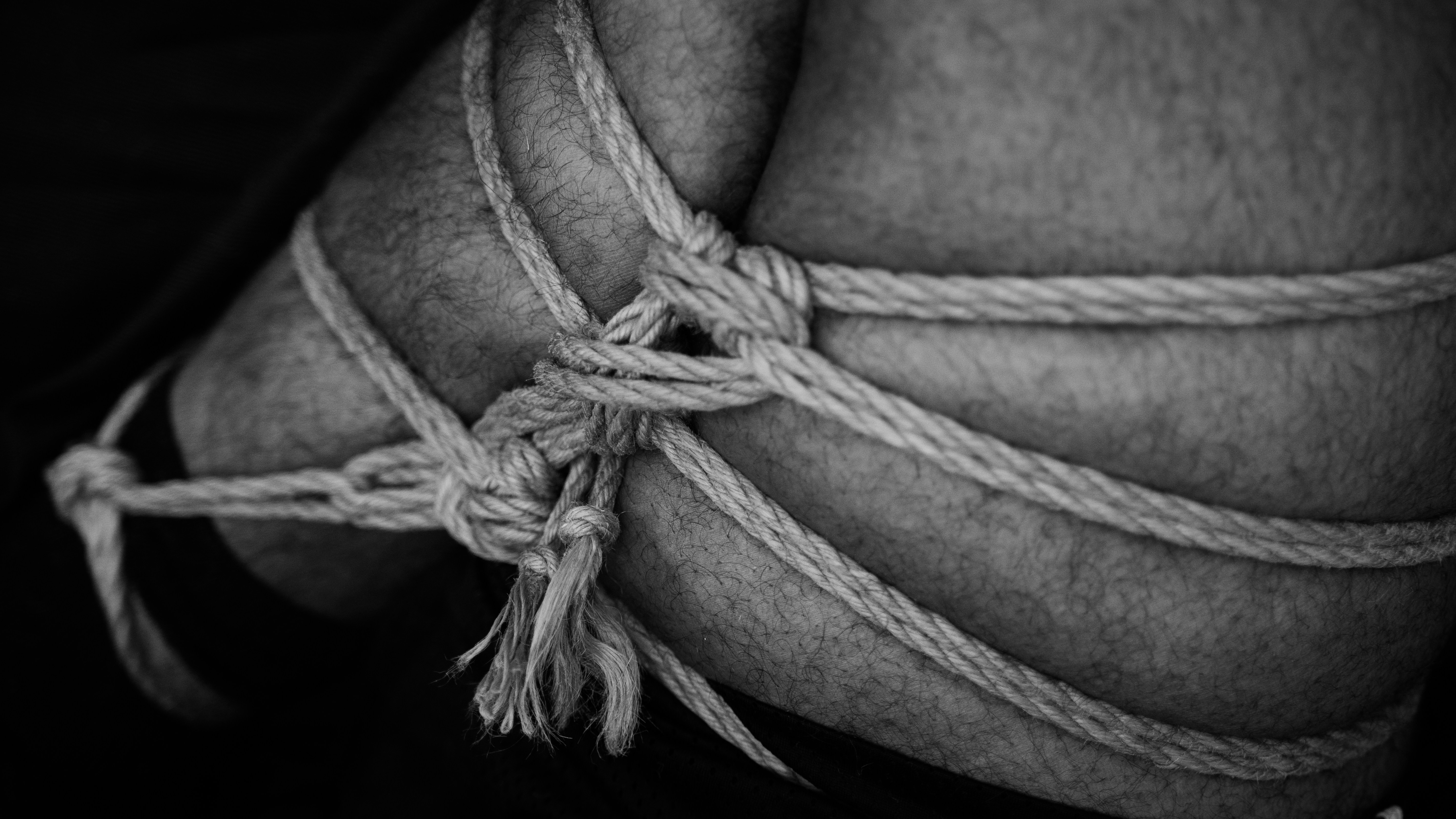 photo-1614142081079-89ba64115220?ixid=M3wxMjA3fDB8MXxzZWFyY2h8M3x8Ym9uZGFnZXxlbnwwfHx8fDE3NTE0NTU5Nzl8MA\u0026ixlib=rb-4.1.0