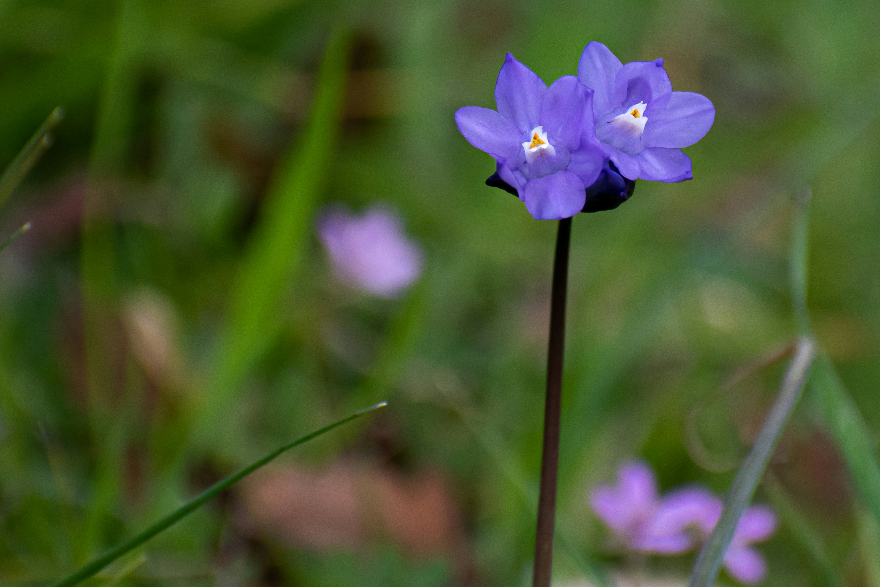 Photo by elisastonephotography