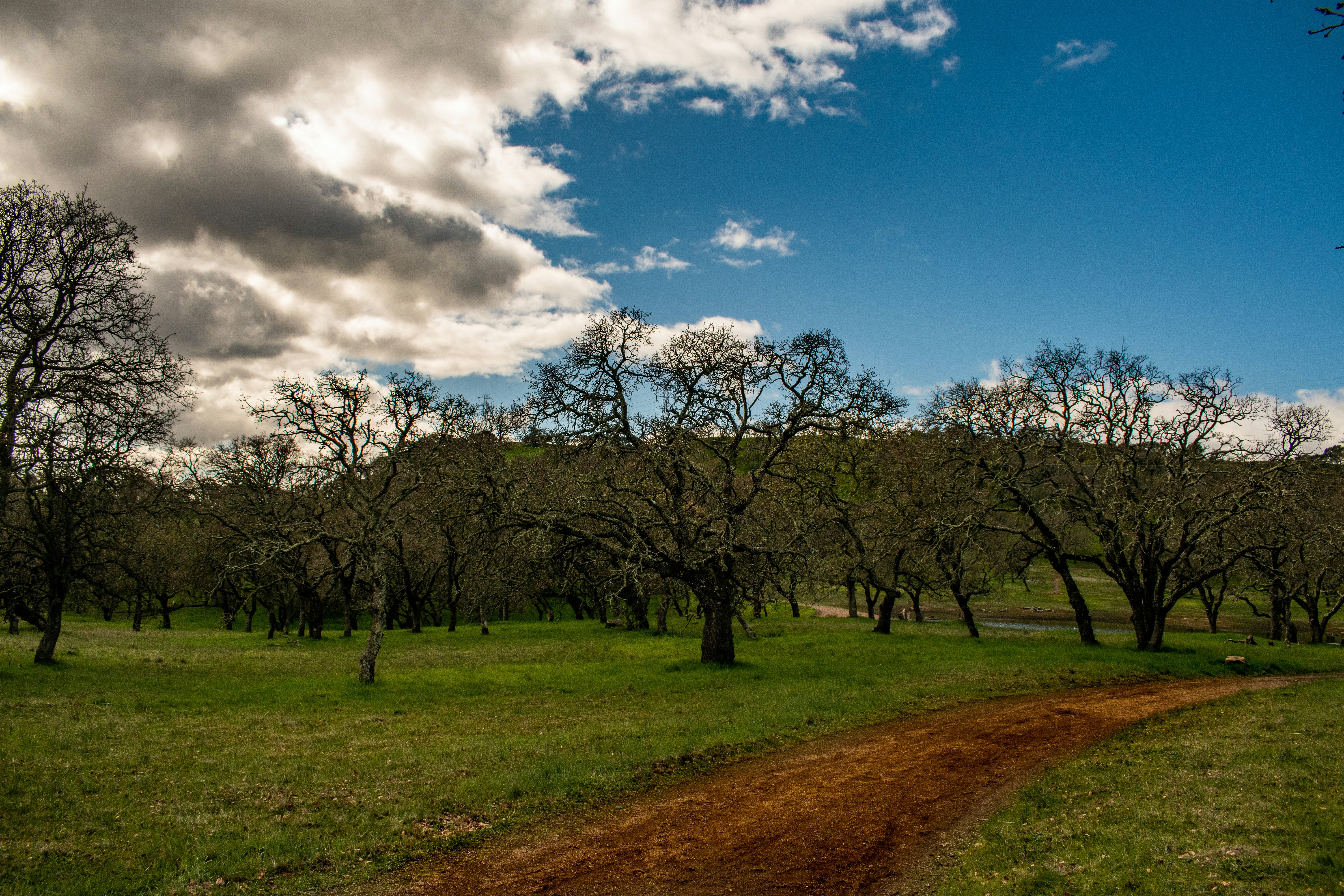 Photo by elisastonephotography