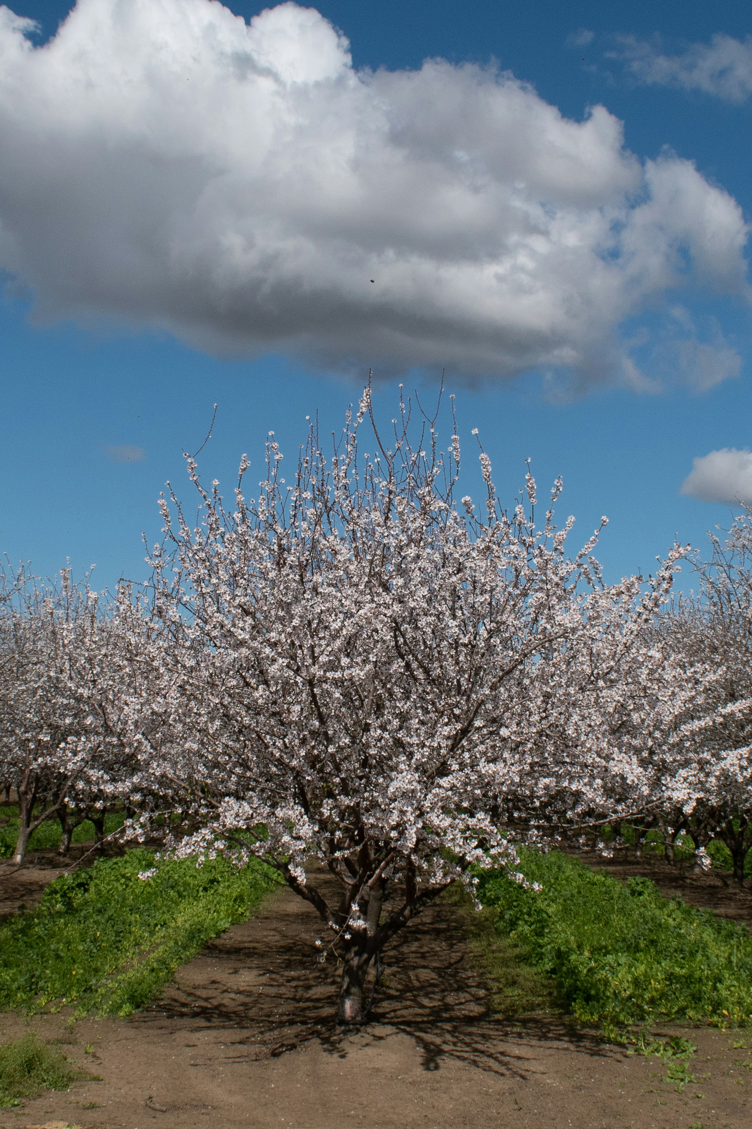 Photo by elisastonephotography