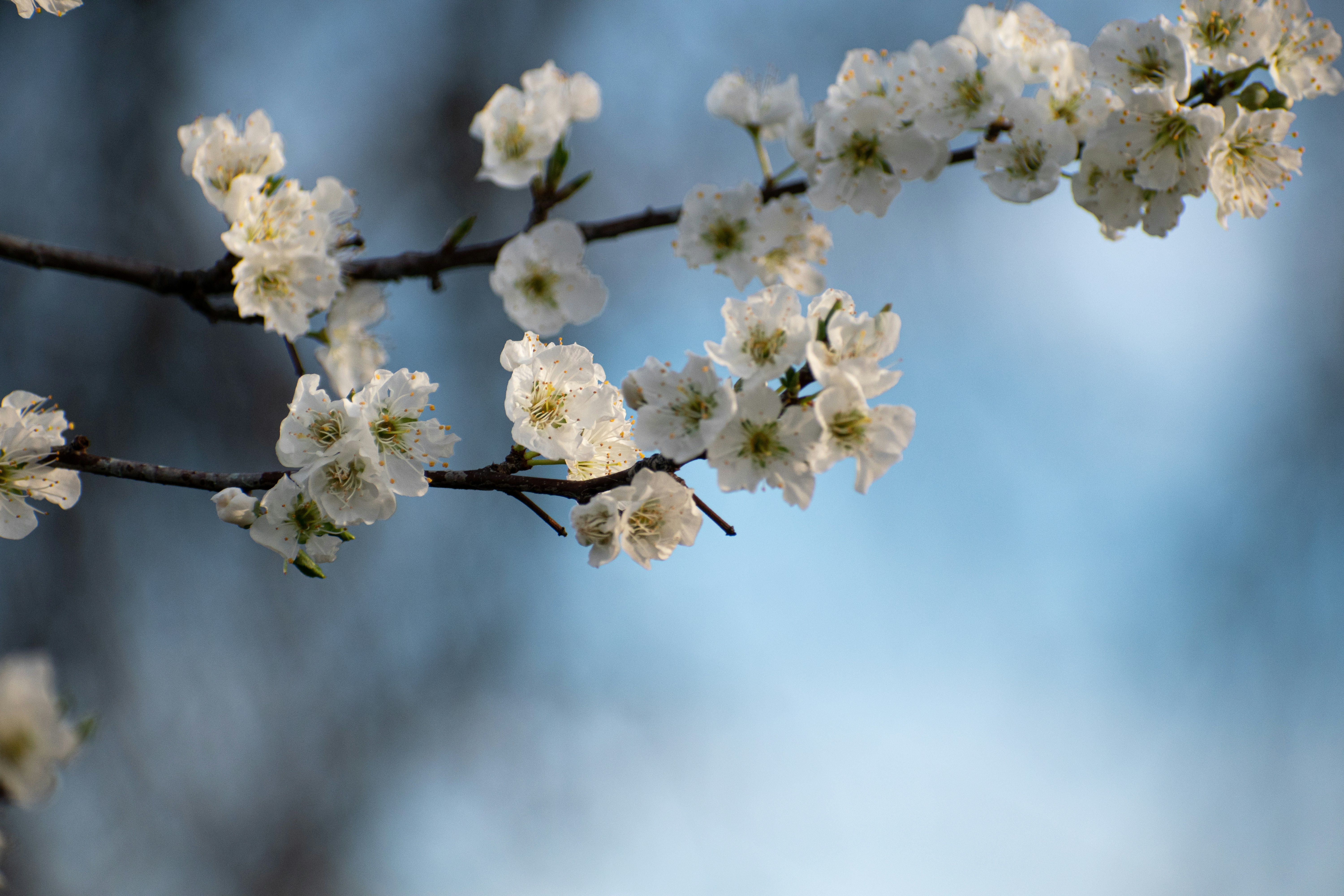 Photo by elisastonephotography