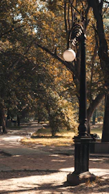 Solar street light with classic curved arm and warm LED glow lighting a park pathway under trees.