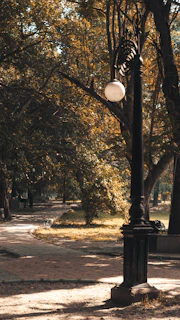 Solar street light with classic curved arm and warm LED glow lighting a park pathway under trees.