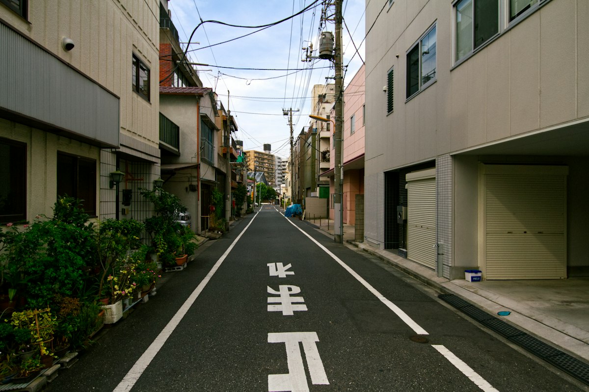 道路の中央に引かれた歩行者用の白線
