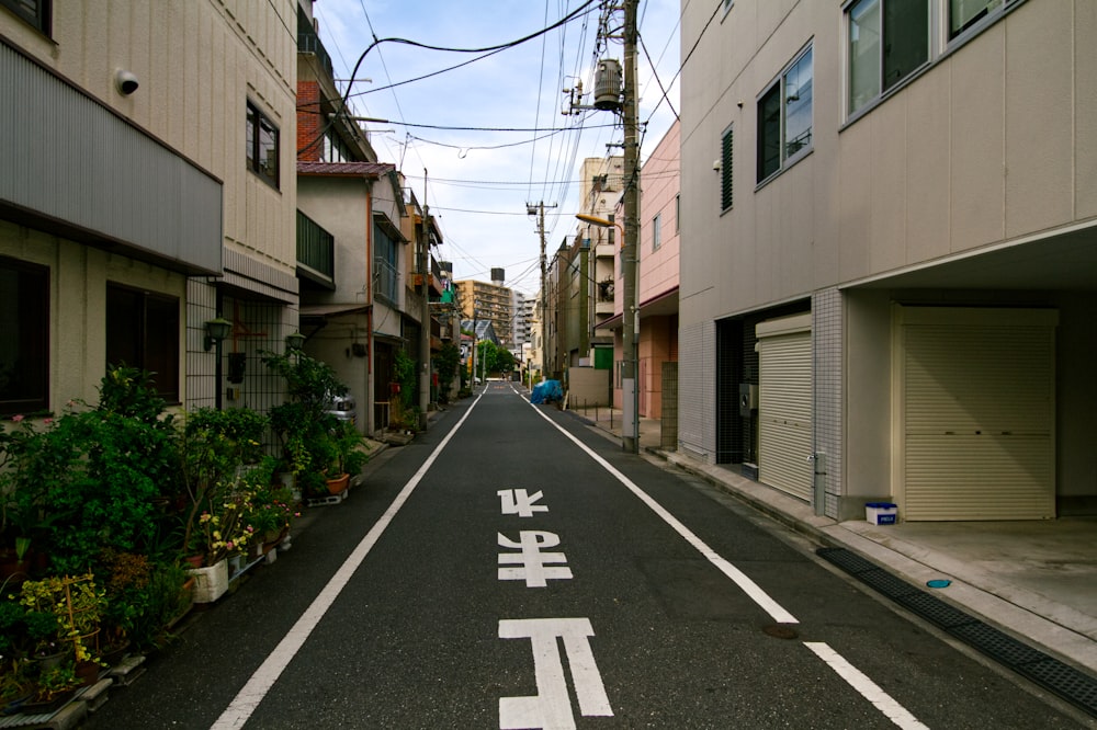 pedestrian lane in the middle of the road