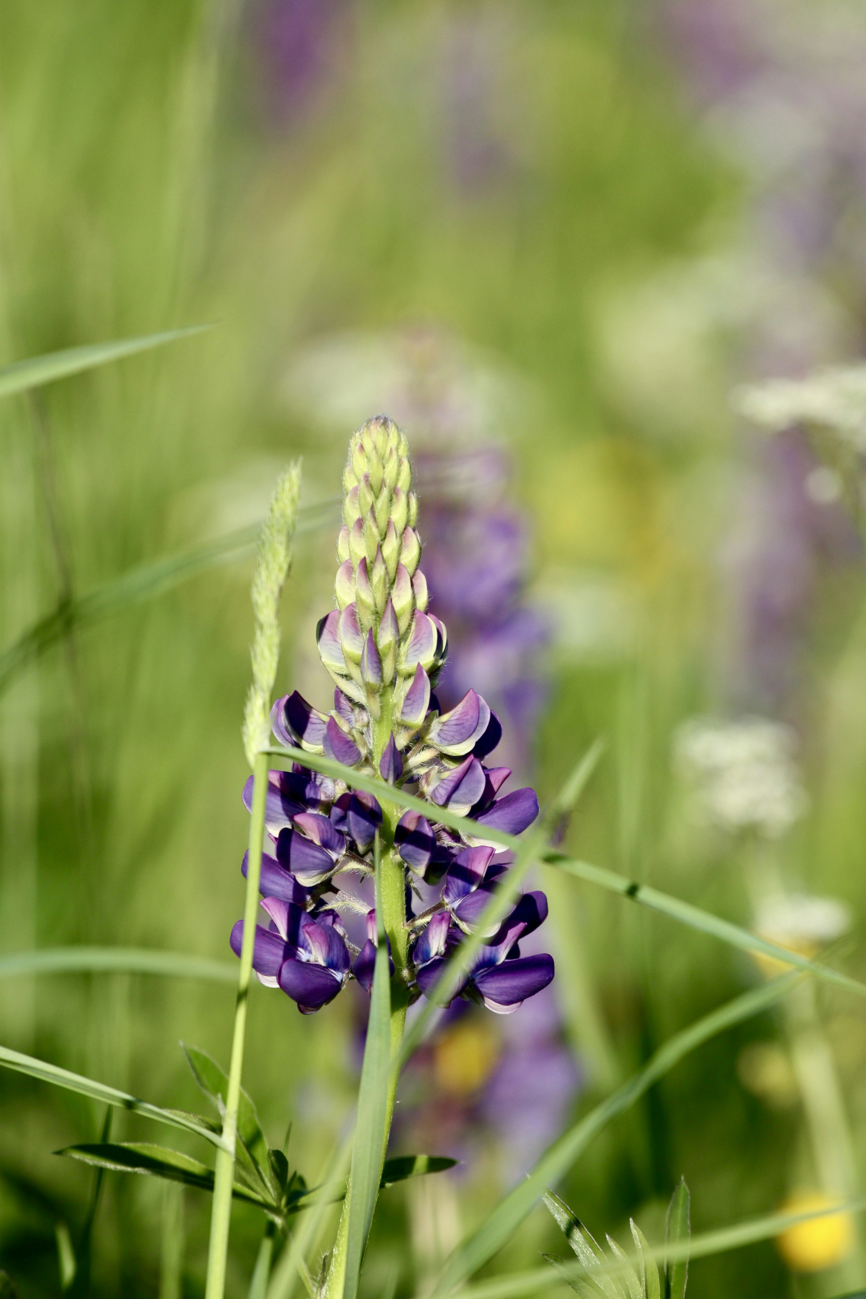 Photo by nihongraphy2