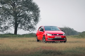 red honda car on green grass field during daytime