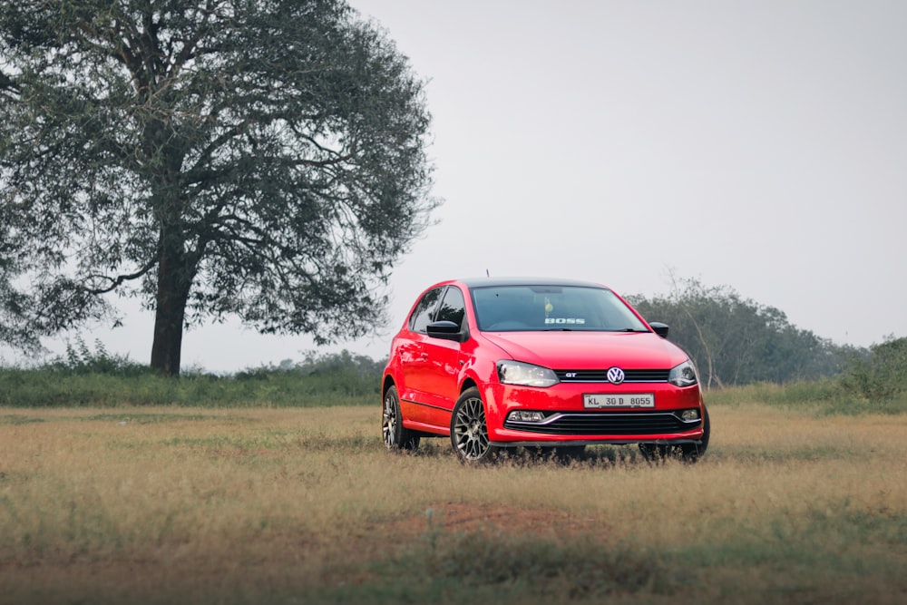 red honda car on green grass field during daytime