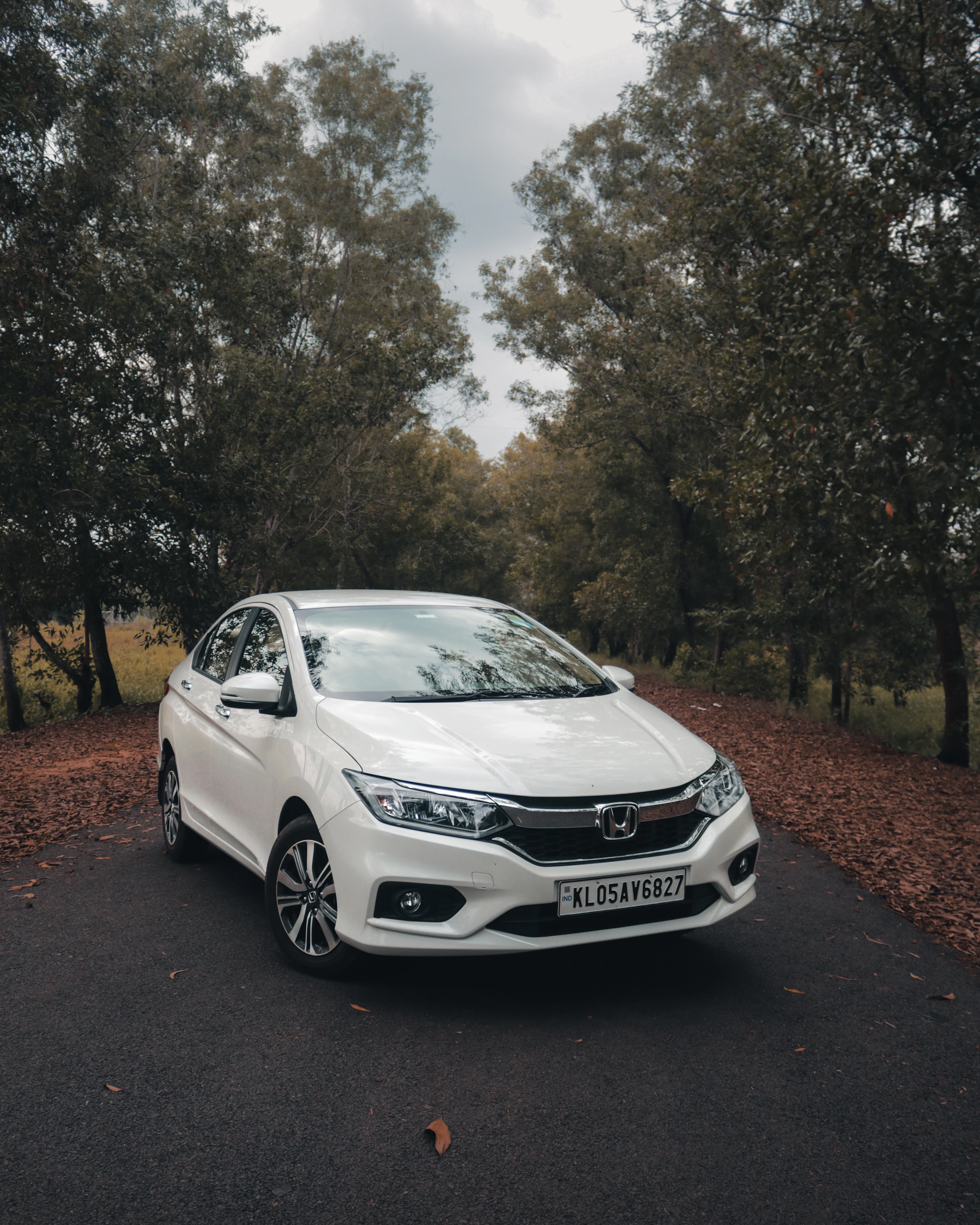 White Honda City on a tree-lined road