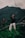 woman in black long sleeve shirt and white pants standing on tree branch during daytime
