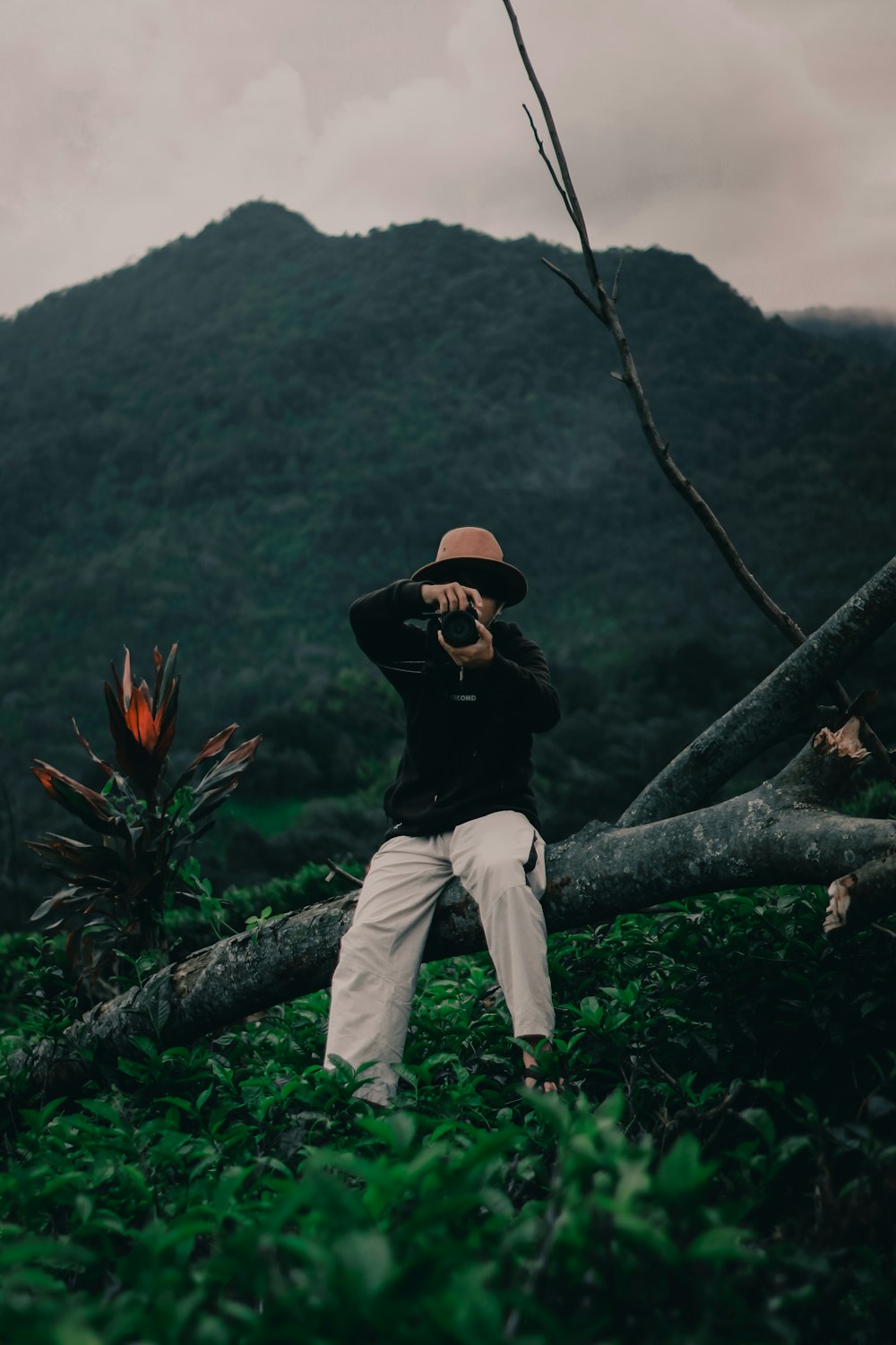 woman in black long sleeve shirt and white pants standing on tree branch during daytime