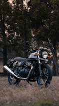black and silver cruiser motorcycle