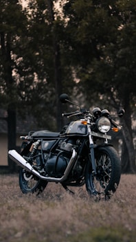 black and silver cruiser motorcycle