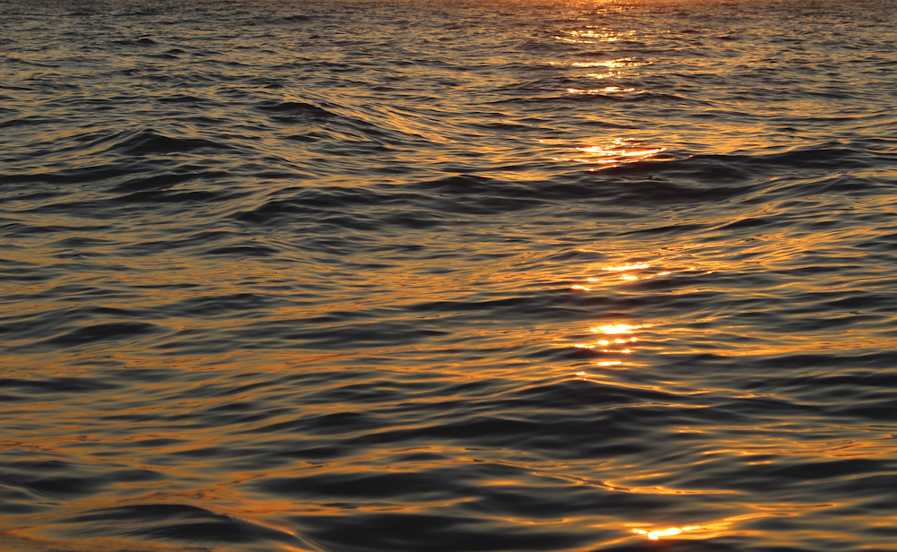 body of water during daytime