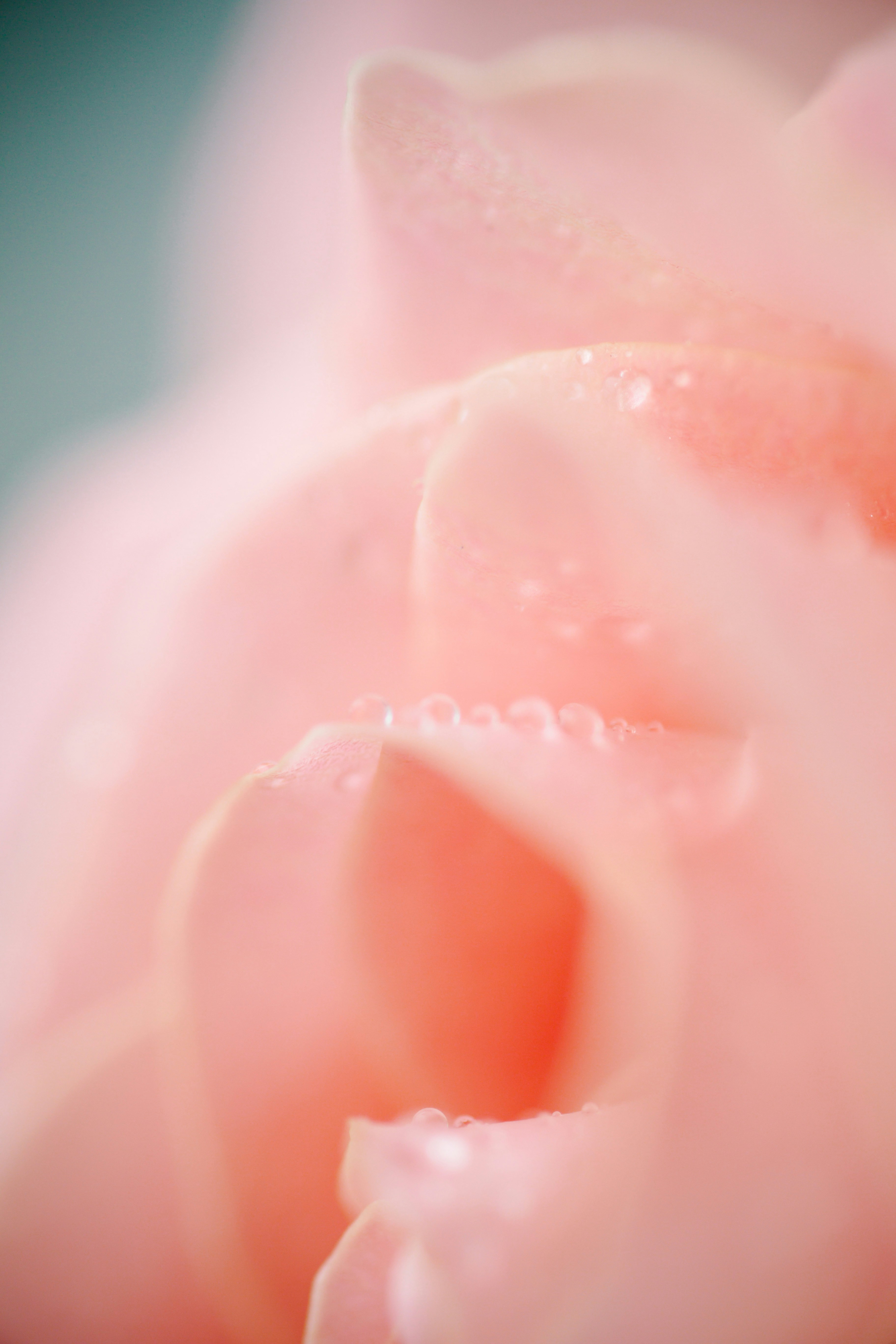 photo-1614154026233-f07abf8f911b?ixid=M3wxMjA3fDB8MXxzZWFyY2h8MTF8fCVFMCVCOCU5RiVFMCVCOCVCMSVFMCVCOCU5OSVFMCVCOCU5QyVFMCVCOCVCOHxlbnwwfHx8fDE3NjcyNjQwNDB8MA\u0026ixlib=rb-4.1.0