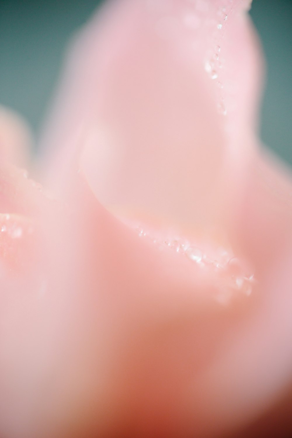 pink plastic tool in close up photography