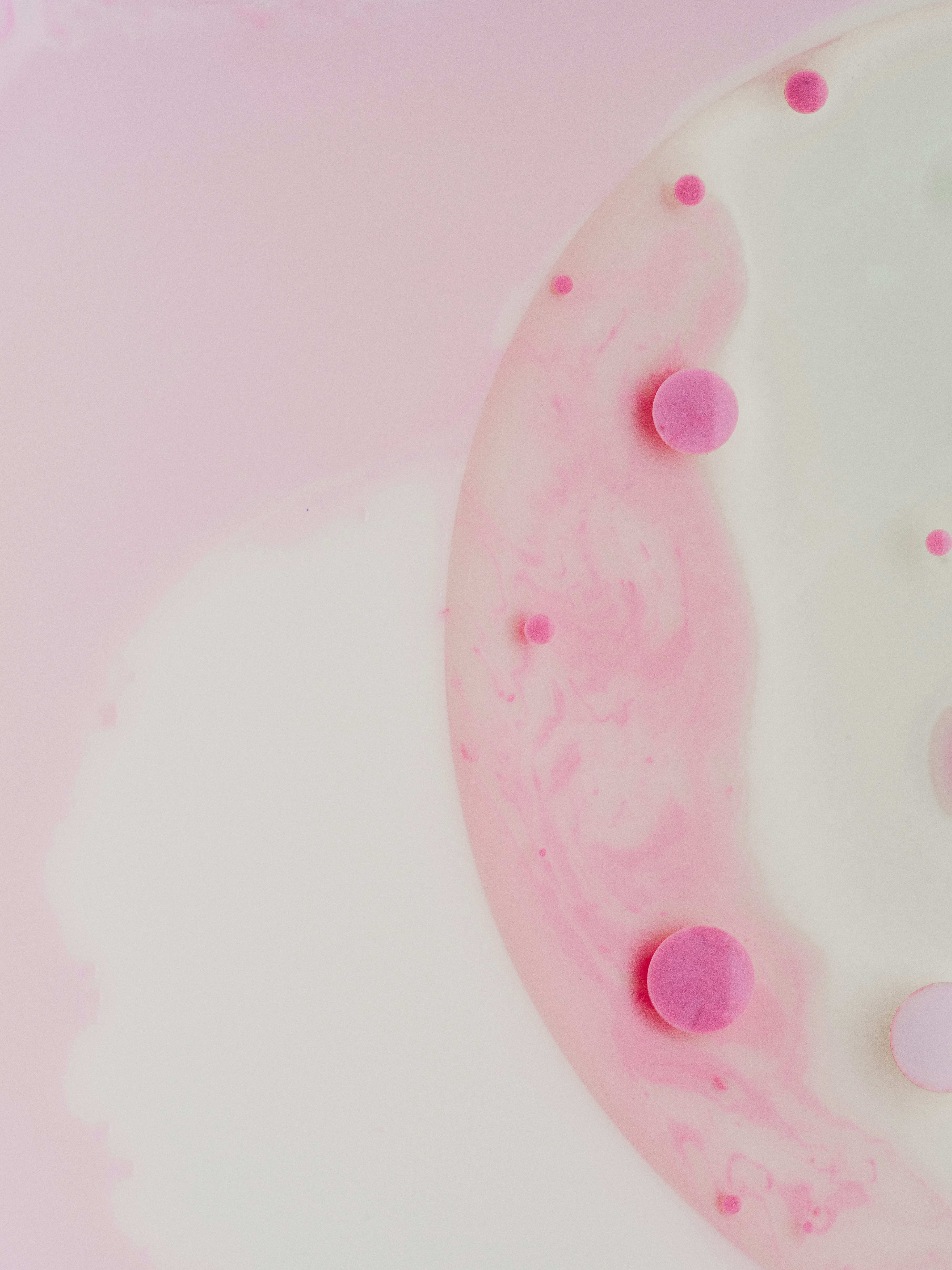 pink and white polka dot balloon