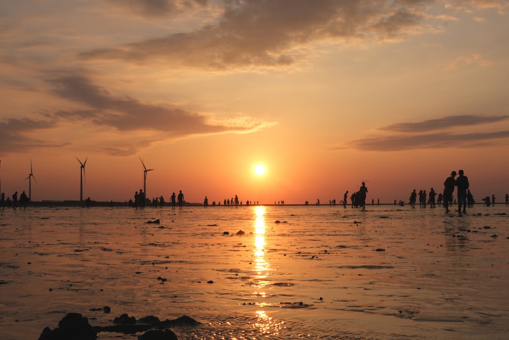 people on beach during sunset