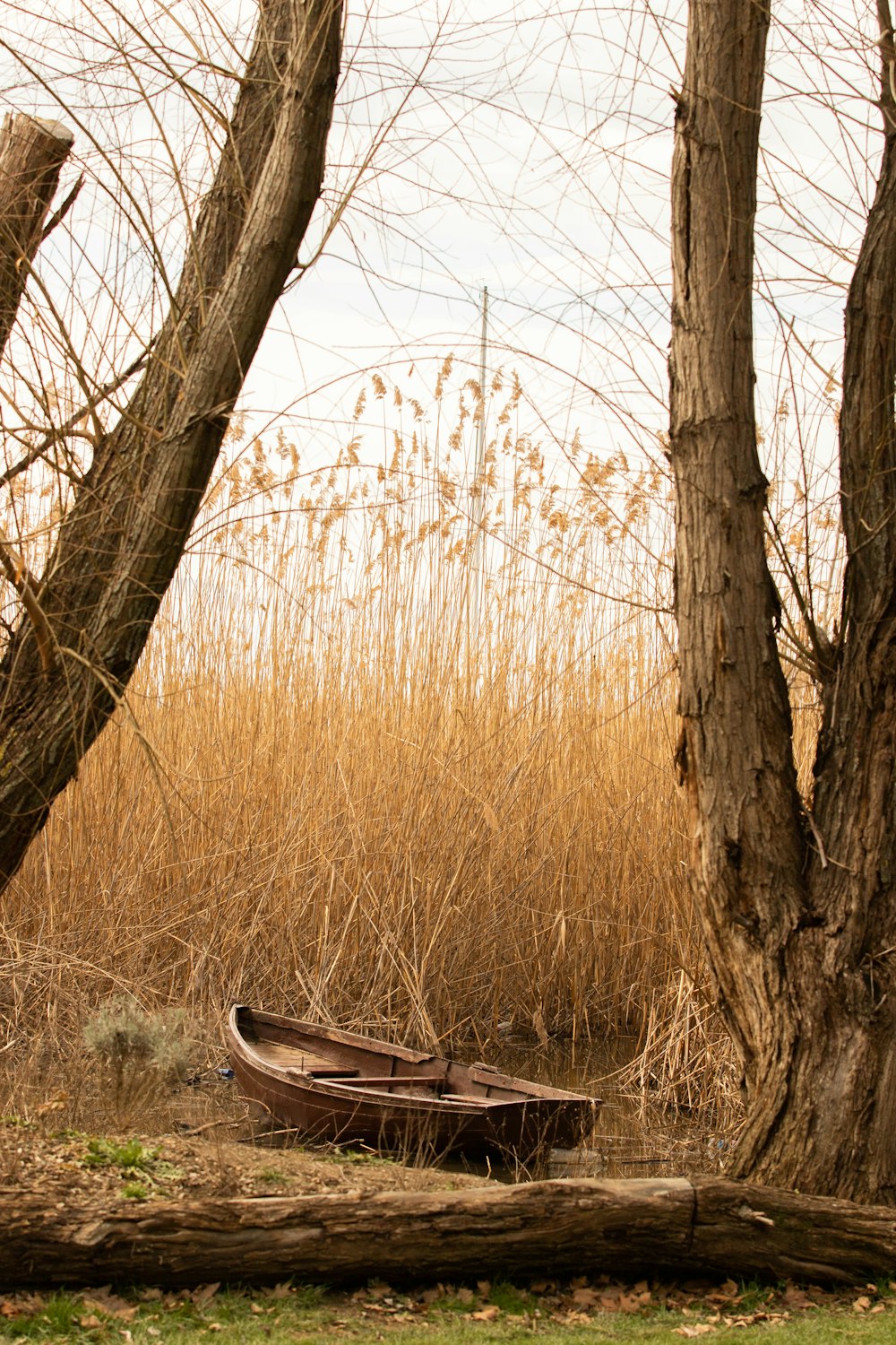 日中の茶色の芝生の上の茶色のカヌー