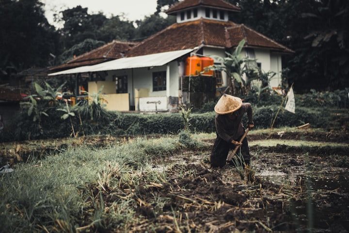 The Gardener