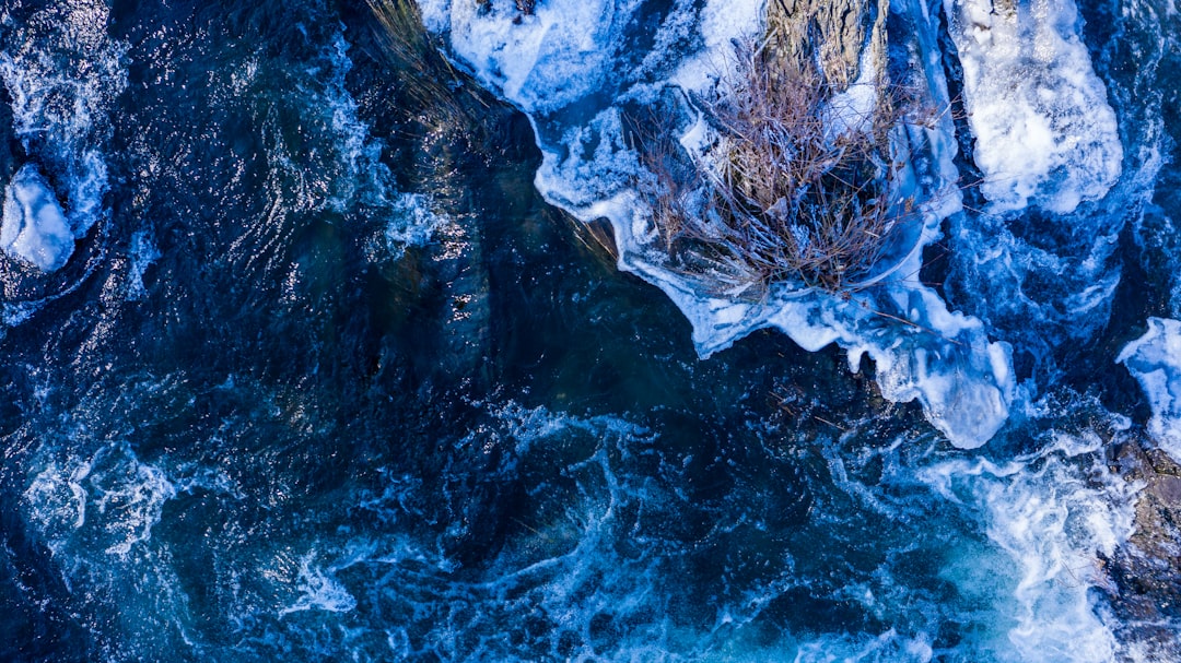 white and blue ice on water