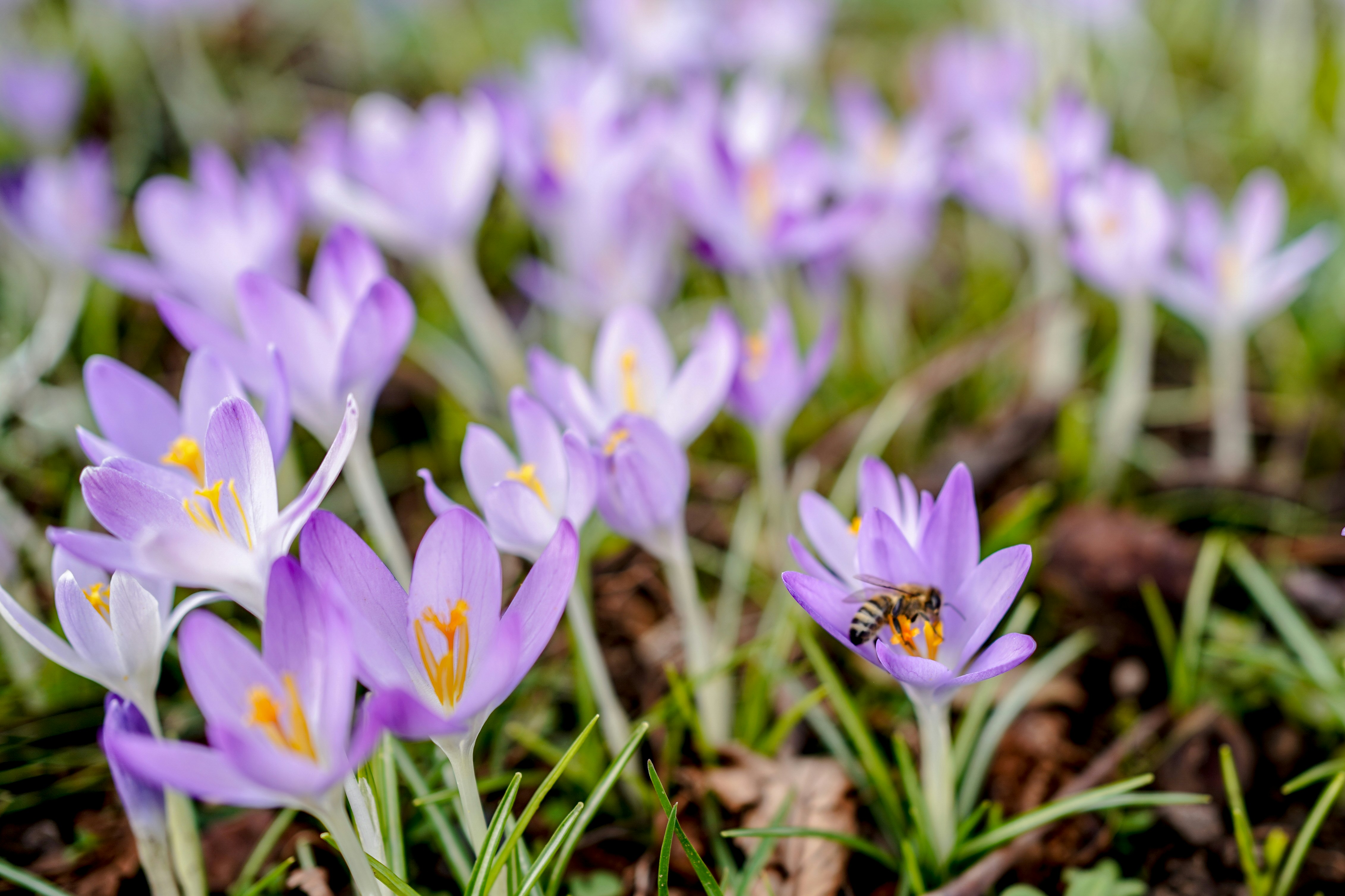 Photo by veronikadiegel