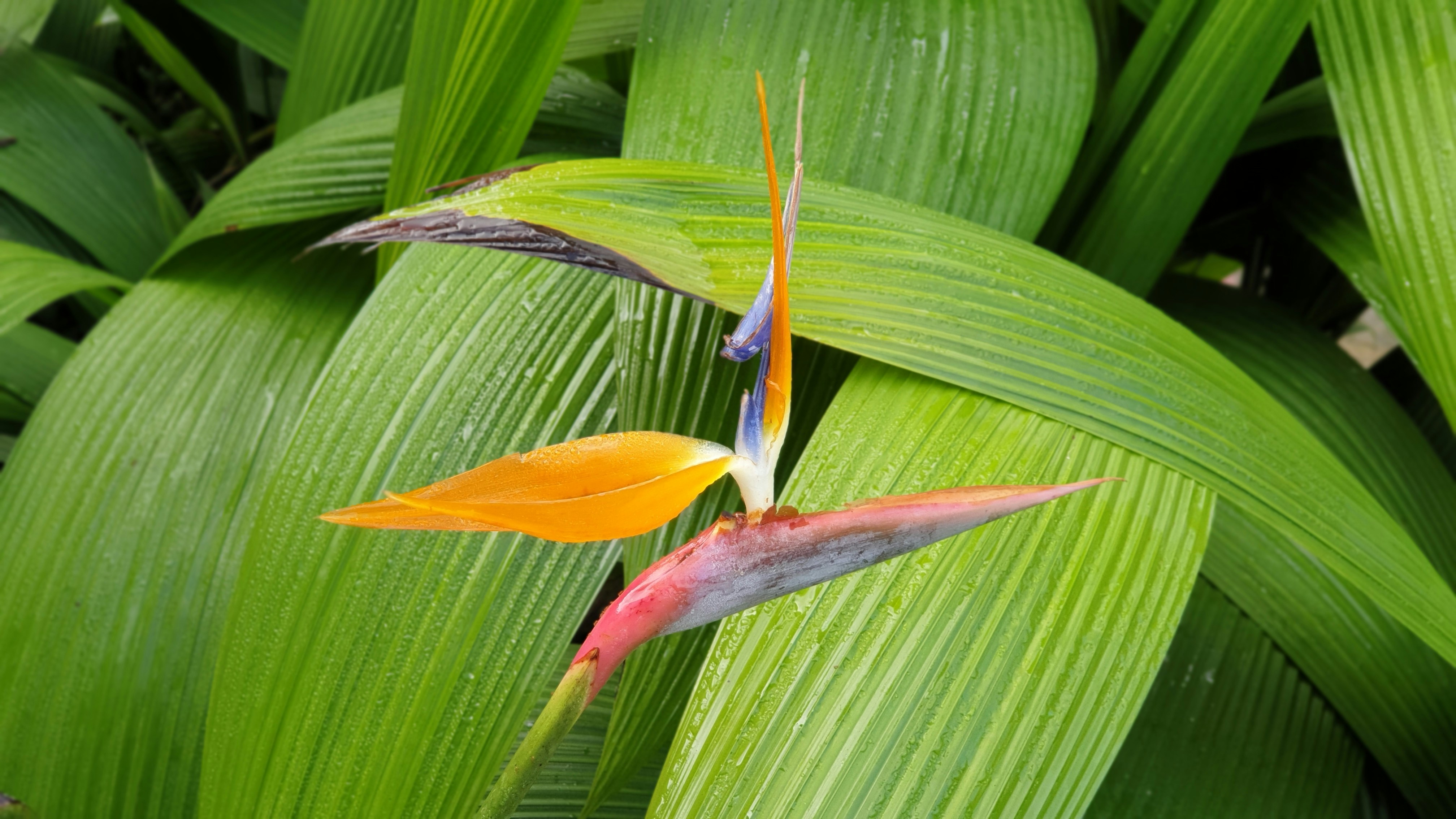 Photo by just_another_try