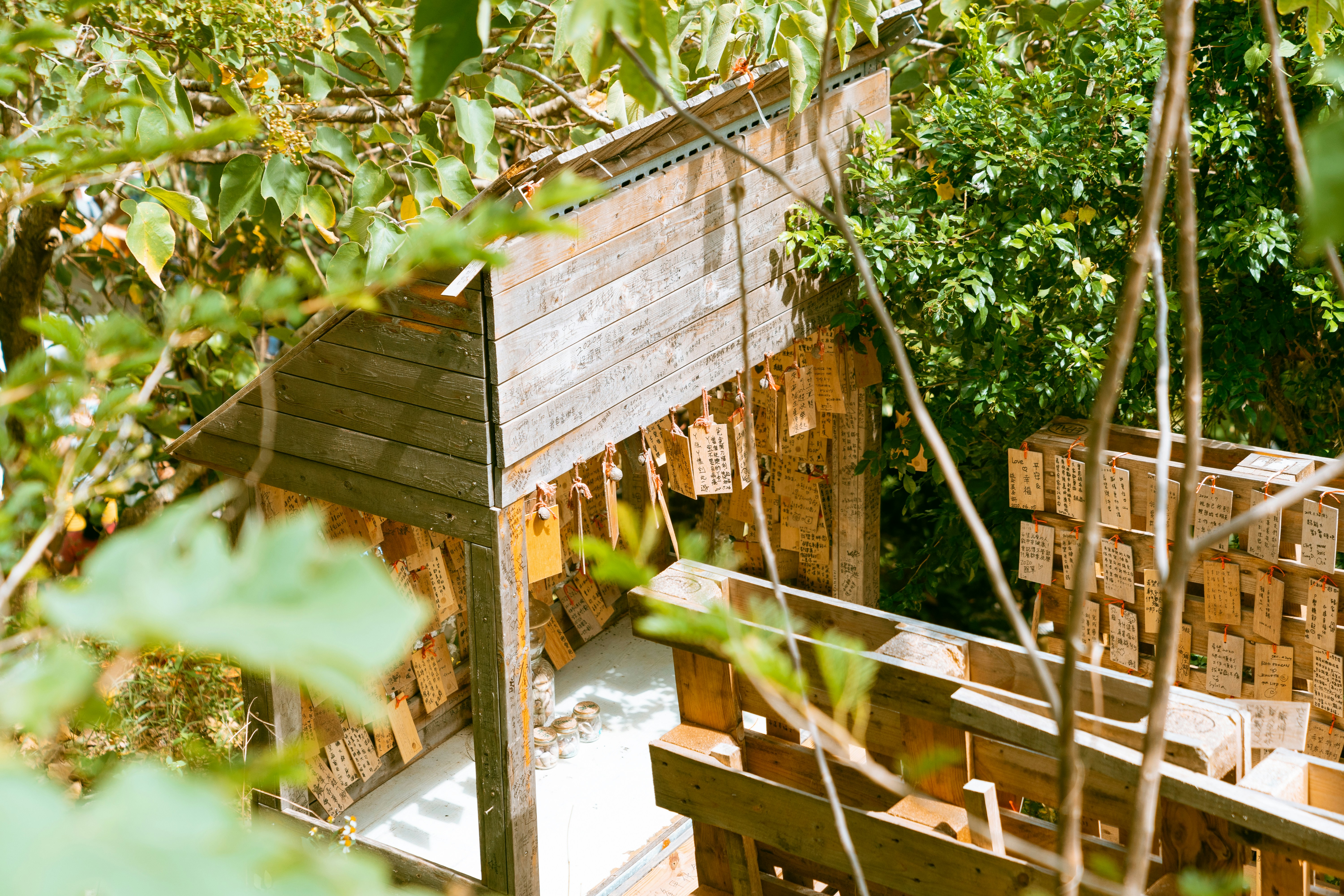 Photo by wl001002631