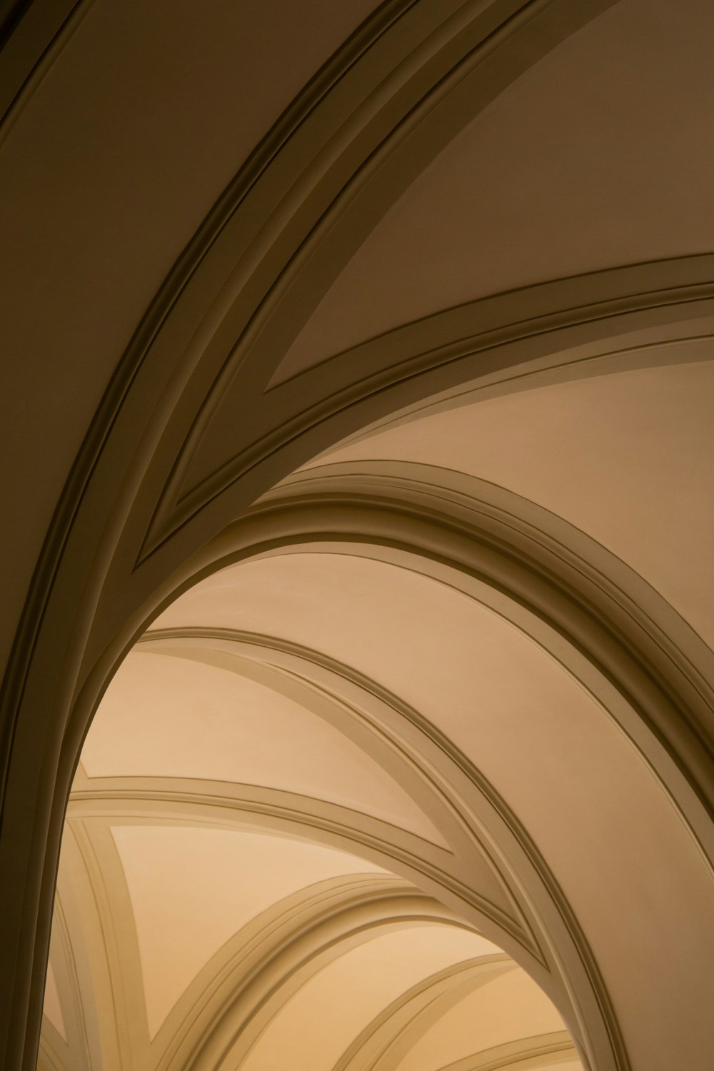 茶色と白のコンクリート天井