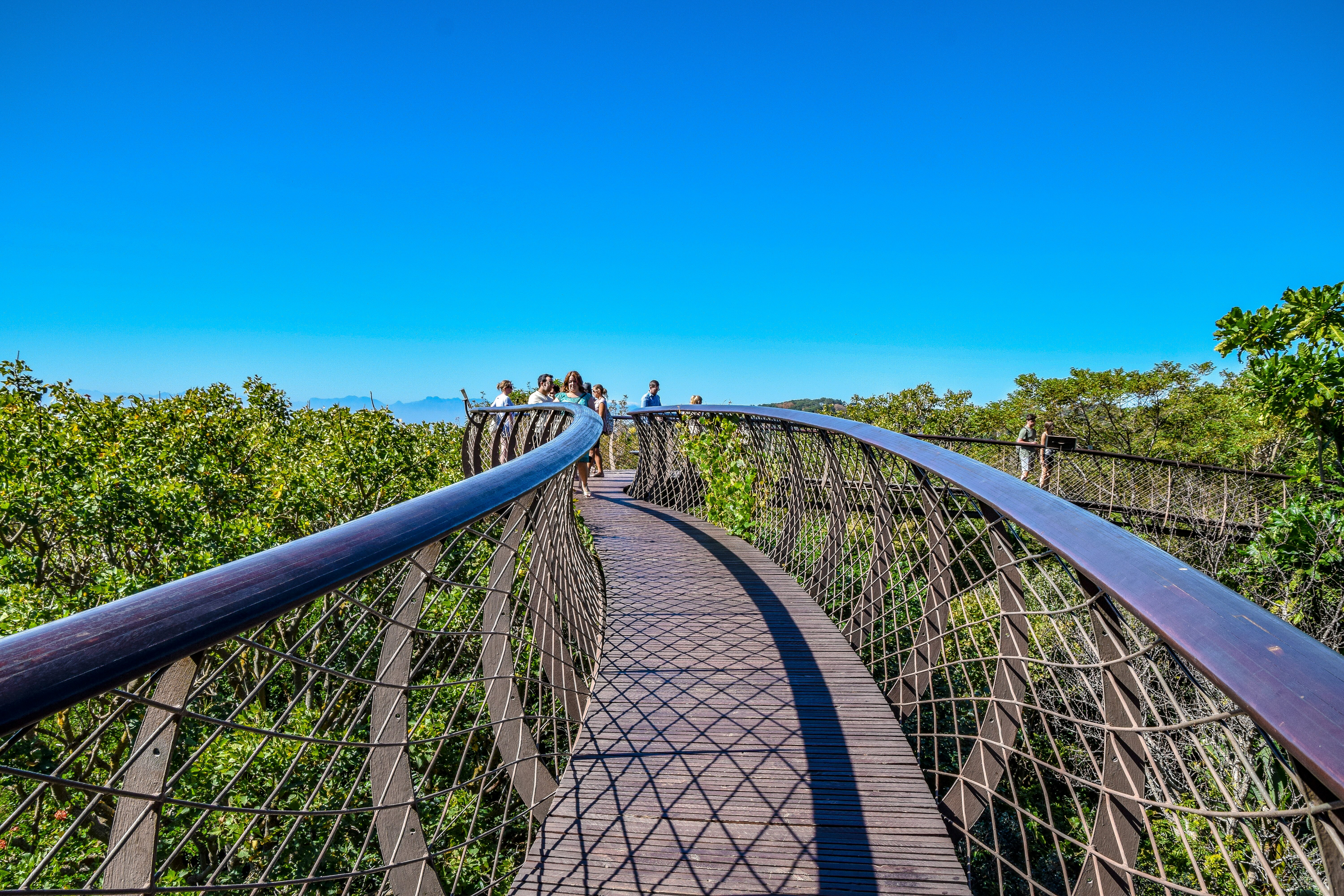 gray metal bridge under blue sky during daytime