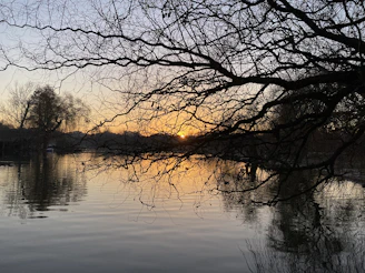 Silhouetted trees lining the riverbank as daylight gently fades.
