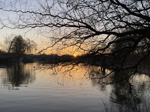 Silhouetted trees lining the riverbank as daylight gently fades.