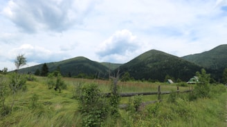 A serene countryside landscape features green rolling hills covered with dense trees under a partly cloudy sky. In the foreground, there is a wooden fence and a grass field with scattered bushes and small trees. A couple of small houses with green roofs are visible in the distance.